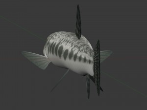 Freshwater fish peskar 3D Model