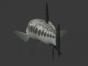 Freshwater fish peskar 3D Model
