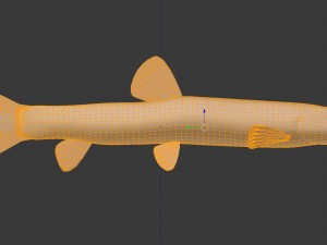 Freshwater fish peskar 3D Model