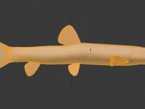 Freshwater fish peskar 3D Model