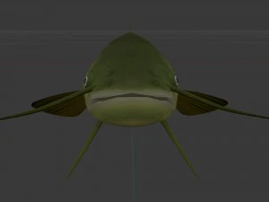 Meerval som 3D Model