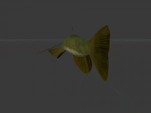 Meerval som 3D Model