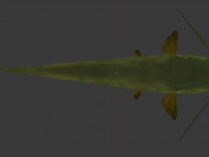 Catfish som 3D Модель
