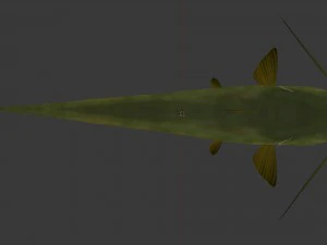 Meerval som 3D Model