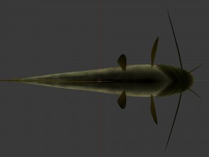 Catfish som 3D Модель