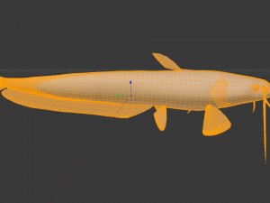 Catfish som 3D Модель