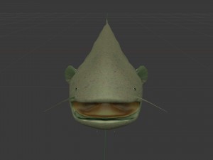 Large catfish 3D Model