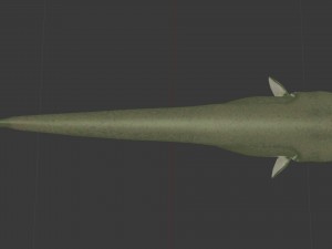 Large catfish 3D Model