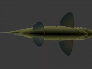 Brown trout fish koomja 3D Model