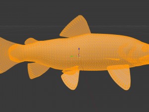 Brown trout fish koomja 3D Model