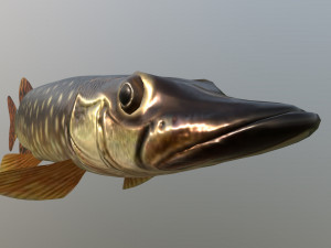 Pike shooka 3D Модель