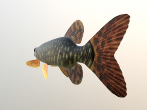 Pike shooka 3D Модель