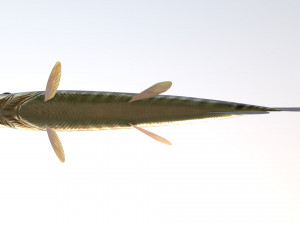 Pike shooka 3D Модель