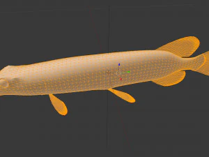 Brochet shakea Modèle 3D