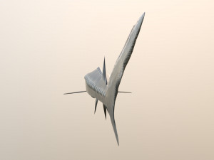 Russian sturgeon Model 3D