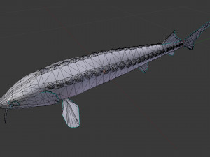 Russian sturgeon Model 3D