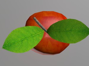 apple obj fbx max 3D Модель
