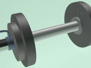 dumbell obj fbx m&aacute;ximo Modelo 3D