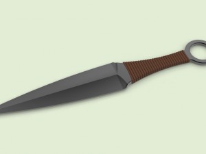 Kunai 3Dモデル