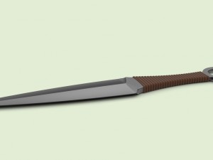 Kunai 3D 模型
