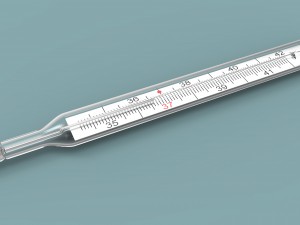 Medical thermometer 3D 모델