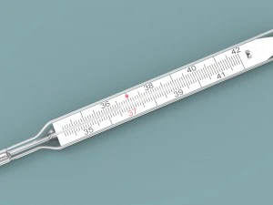 Medical thermometer 3D Model