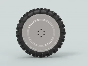 Wheel from swamp buggy 3D Model