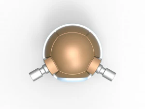 Orbe blastoise Modelo de impresión 3D