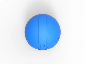 PIA Chansey Ball 3D Print Model