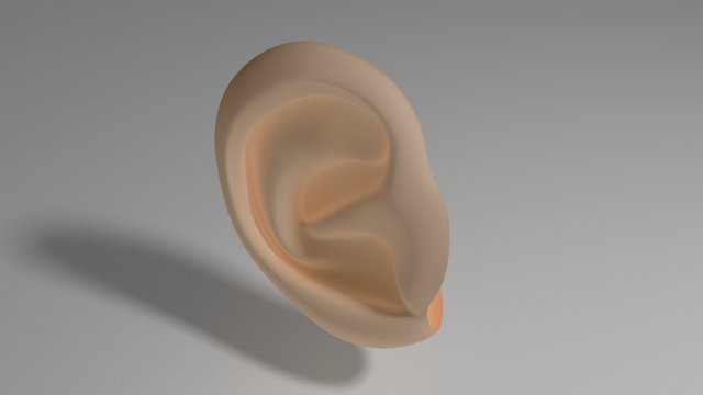 ear Model 3D .c4d .max .obj .3ds .fbx .stl .blend 