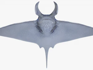 Manta ray 3D Model