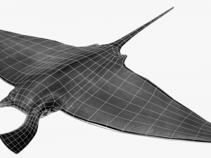 Manta ray Model 3D