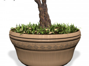 decorative ornamental tree plant 01 3D 模型