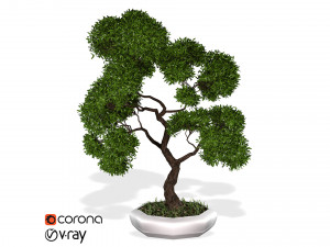 decorative ornamental tree plant 02 3D Model