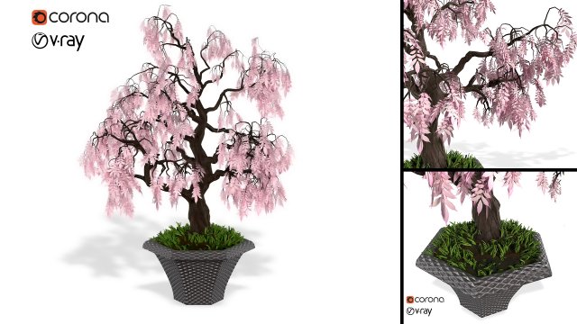 decorative ornamental tree plant 03 3D Model .c4d .max .obj .3ds .fbx .stl .blend 