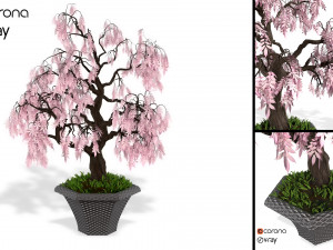decorative ornamental tree plant 03 3D Модель