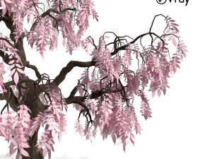 decorative ornamental tree plant 03 3D Model