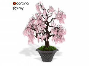 decorative ornamental tree plant 03 3D Model