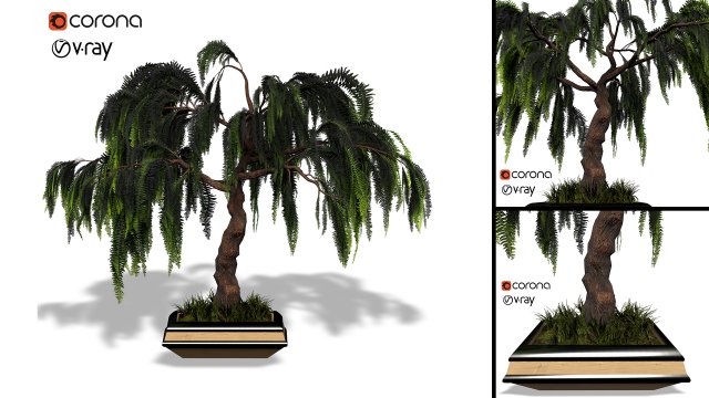 decorative ornamental tree plant 04 3D Model .c4d .max .obj .3ds .fbx .stl .blend 