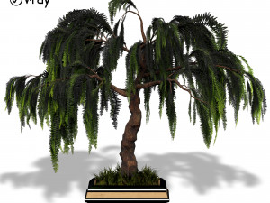 decorative ornamental tree plant 04 3D Model