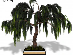 decorative ornamental tree plant 04 3D Model