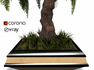 decorative ornamental tree plant 04 3D Model