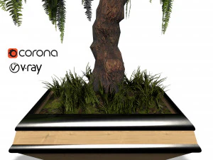 decorative ornamental tree plant 04 3D Model