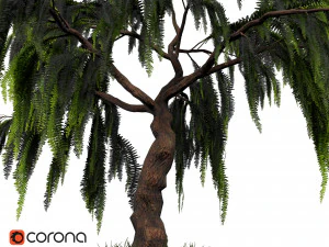 decorative ornamental tree plant 04 3D Model