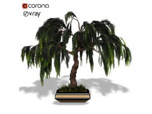 decorative ornamental tree plant 04 3D Model
