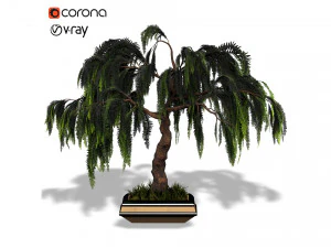 decorative ornamental tree plant 04 3D Model