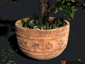 decorative ornamental tree plant 05 Modello 3D