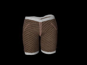 pant short 3D Model