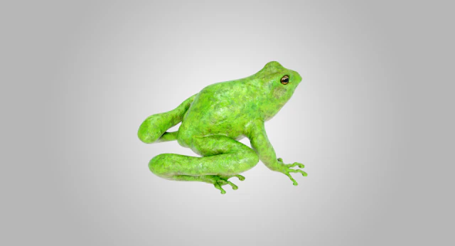 Frog 3D Model .c4d .max .obj .3ds .fbx .stl .blend