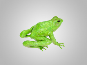 Frog 3D Model